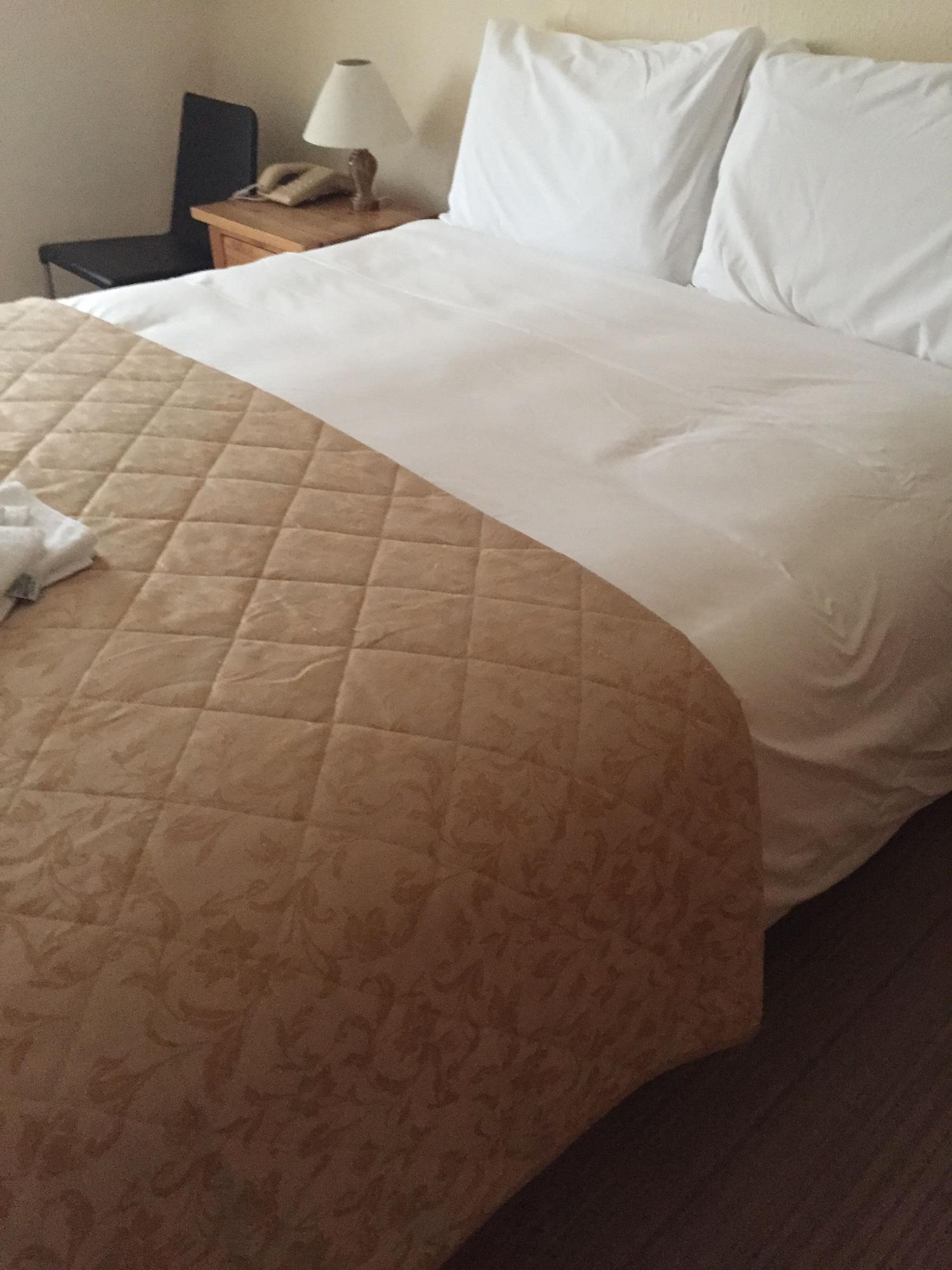 Hotel Carlton 3*
